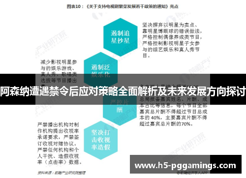 阿森纳遭遇禁令后应对策略全面解析及未来发展方向探讨